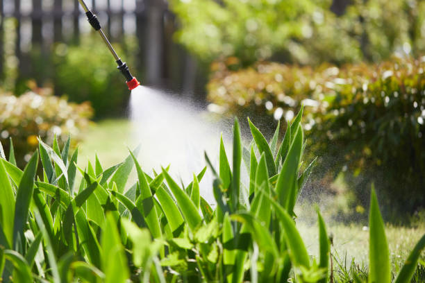 Tamper-Resistant Bait Stations for Rodents in Sterling